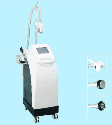 Gros équipements congelés de beauté de machine de Cryolipolysis avec l'écran de 8 pouces