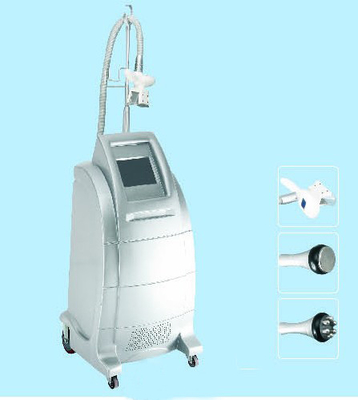 Machine de Zeltiq CoolSculpting Cryolipolysis pour le dos, enlèvement de graisse de taille
