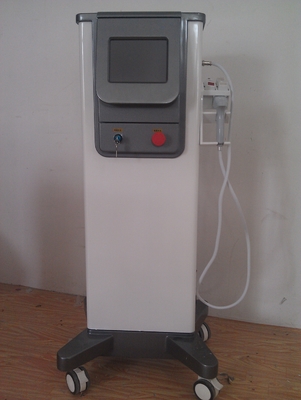 Machine chaude de rajeunissement de peau de Maggie rf avec le châssis de gris d'écran de 8 pouces