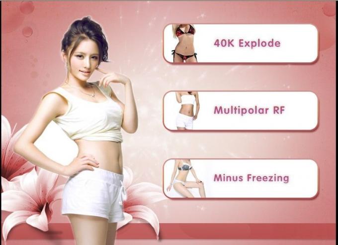 La Chine 3 dans 1 gros fournisseur perdu de congélation de machine de beauté de poids de Cryolipolysis